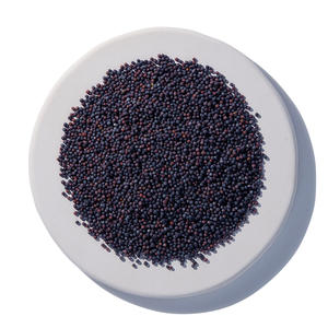 Graines de moutarde noire Épice traditionnelle aux bienfaits modernes pour la santé - Product Image 1