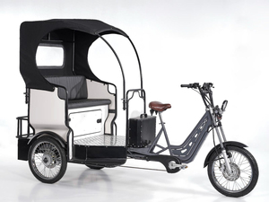 Tricycle électrique pour passagers Transport urbain confortable et écologique - Product Image 4