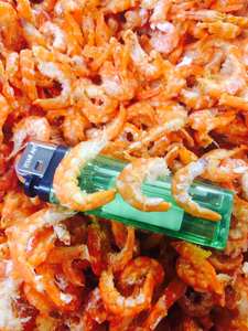 Camarones de primera calidad secados al sol sin conservantes, capturados en la naturaleza, ideales para aplicaciones culinarias y de aperitivos de 99 Gold Data - Product Image 4