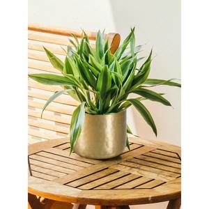 Maceta dorada de Metal de moda con acabado Premium, Ideal para macetas de interior elegantes, balcón, patio y esquinas de jardín - Product Image 1