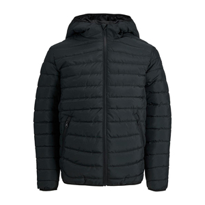 Vente en gros de vêtements d'hiver à la mode manteaux de créateurs veste en duvet pour hommes de taille plus imperméable et souple personnalisée - Product Image 1