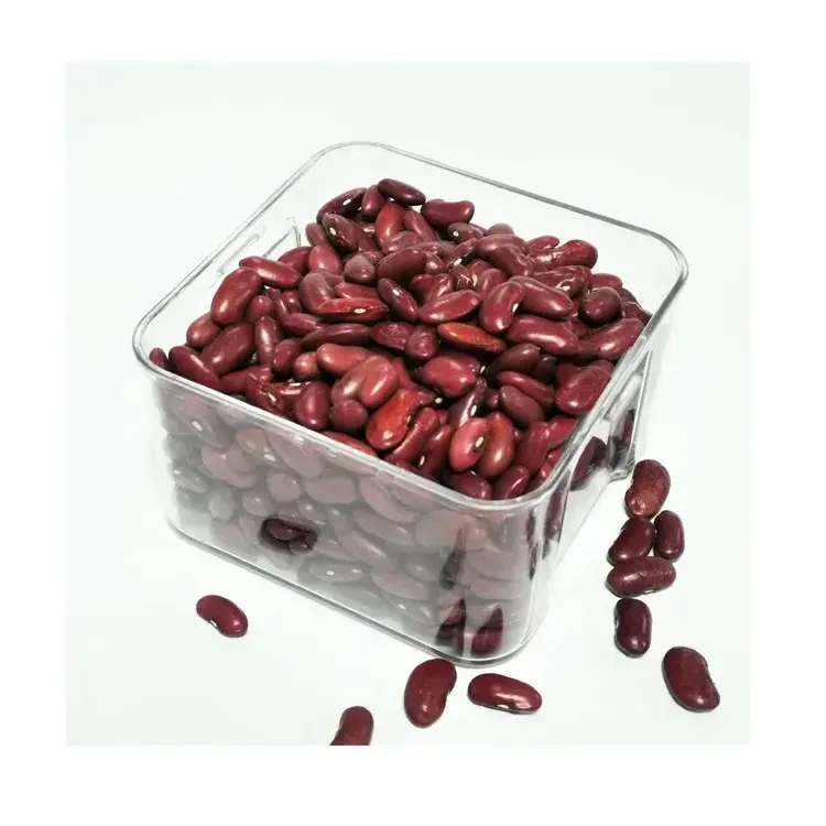 저렴한 품질의 붉은 신장 콩 구입 | 도매 천연 붉은 콩 25 | 50 | 100kgs