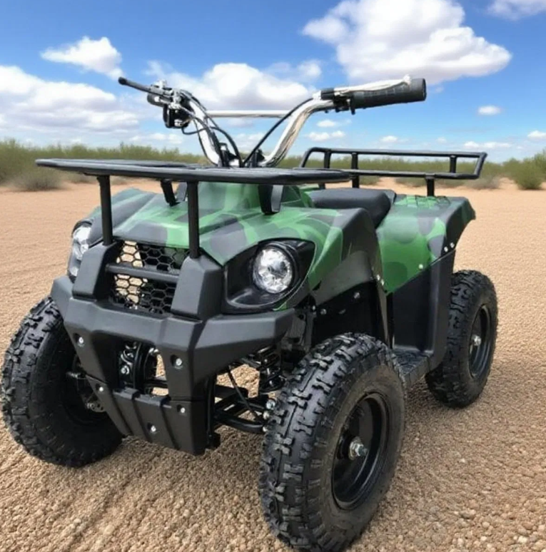 Factory Direct Offroad ATV Mini Quad
