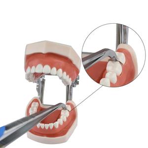 Pinza Manual para Matrices Dentales con Agarre Ergonómico, 3 Mordazas, Pinza de Acero Inoxidable - Product Image 2