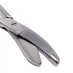 Gran oferta, sierra de corte de yeso de acero inoxidable con tijeras Manual Bruns, tijeras, instrumentos quirúrgicos ortopédicos, certificación CE - Product Image 4