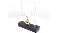 Trophée de champion gravé en cristal de verre de bonne qualité, écologique, Regal Incorporation TRO-2248, pour reconnaître les vainqueurs sportifs