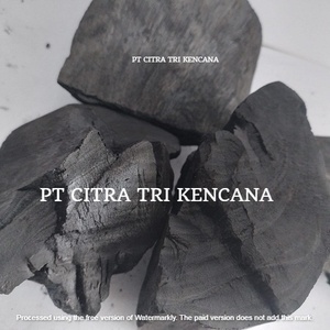 PARRILLA ACACIA CARBÓN DE MADERA DURA BBQ NATURAL ACACIA CARBÓN DE CARBÓN QUEMANDO POR LARGO TIEMPO EMBALAJE SUPERMERCADO INDIVIDUAL Kiebu KIRIBATI - Product Image 5