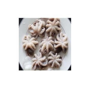 Pulpo Bebé Congelado de Portugal, Paquete de 10 kg - Product Image 1