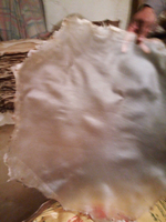 22 Inch White Deer Extra Thick Plus Size Vellum Goat Skin Natural Africa Drum Head with Deep Sound Healing