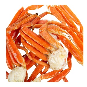 Jambes de crabes <span class=keywords><strong>des</strong></span> <span class=keywords><strong>neiges</strong></span> surgelées de qualité supérieure à <span class=keywords><strong>prix</strong></span> de gros pour la vente et l'exportation mondiale - Product Image 5