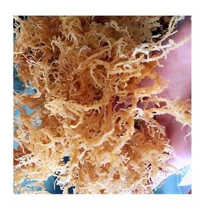 มอสไอริชหลากหลายน้ำแข็งมอสแช่แข็งแบบไอริช - Product Image 3