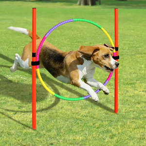 Kit d'entraînement aux obstacles en plastique pour chiens - Product Image 3