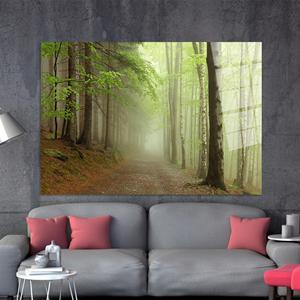 Art mural en verre trempé enchanteur : Paysage forestier imprimé sur toile, ART EN VERRE TREMPÉ - Product Image 1