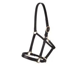 Attractive Black Color Genuine Leather Made Horse Halter Customized Designed Horse Racing Halter With Lightweight