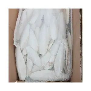 High Quality Cuttlefish Bone/ Ossa Sepia/ Squid From Vietnam Factory Competitive/ MS. ELYSIA +84789310321