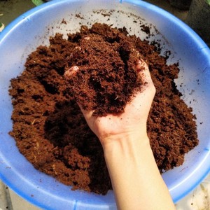Cocopeat pour l'agriculture meilleure qualité tourbe de coco en gros prix d'usine tourbe de coco pour arbre - Product Image 1
