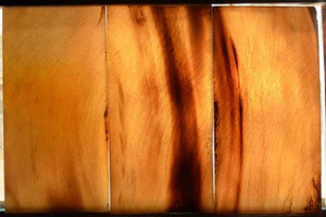 Le nouveau design Real Touch Plaques en corne de buffle et de boeuf faites à la main Tailles personnalisables Couleurs blanches naturelles par Crescent Crafts - Product Image 5