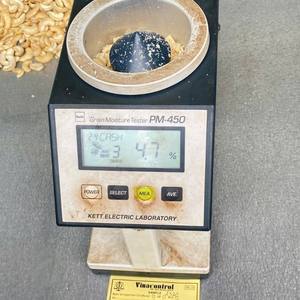 Fournisseur de confiance du Vietnam Noix de cajou Noix de cajou 2024 Vietnam-Noix de cajou salées exportées vers l'Asie, l'UE, le Moyen-Orient - Product Image 1