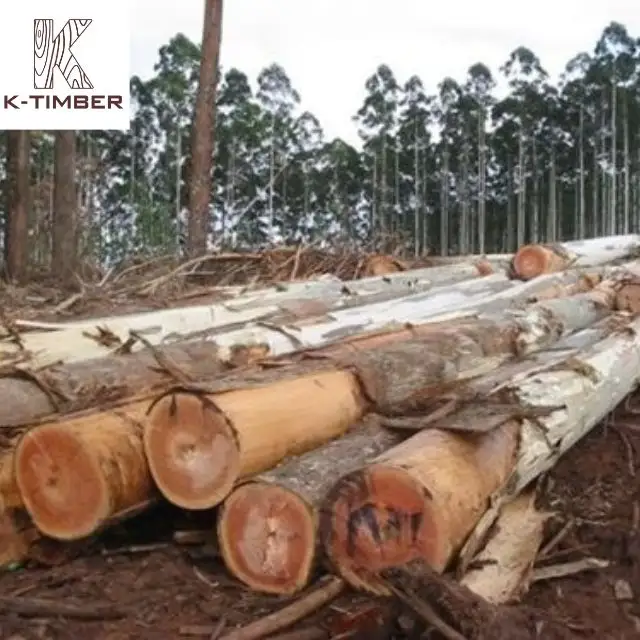 Деревянная Ангола оптом натуральная древесина лиственных пород большого размера по индивидуальному заказу, квадратные бревна из эвкалипта, строительный напольный шпон
