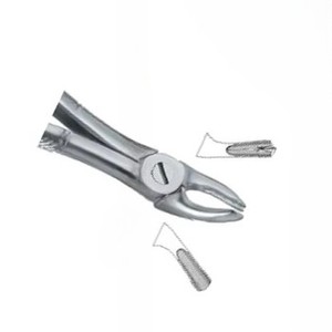 Forceps d'extraction dentaire Fig.39 R, manuel, acier inoxydable de haute qualité, certifié CE, logo personnalisé, instruments dentaires - Product Image 4