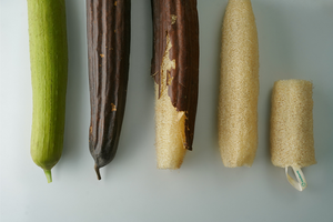 Suministro al por mayor de esponja de microfibra de lufa natural Luffa Vietnam cómodo ecológico hogar cuidado de la piel suave cuerpo reutilizable - Product Image 3