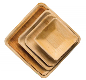 Assiettes carrées jetables écologiques de 9 pouces en feuilles de palmier Areca servent des aliments chauds et froids lors d'événements, de banquets et de fêtes - Product Image 2