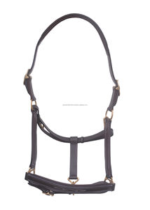 Heavy Duty sur mesure bleu en cuir véritable fait à la main cheval licou double couture en cuir cheval licou matériel en laiton massif - Product Image 3