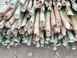 เสาไม้ไผ่ธรรมชาติใช้เป็นวัตถุดิบ - Product Image 5