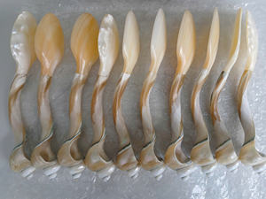 Cuchara de concha marina hecha a mano, cuchara de concha con mango de Caracol de primera calidad, cuchara de concha de madre perla para caviar, elegancia de comedor fina - Product Image 5