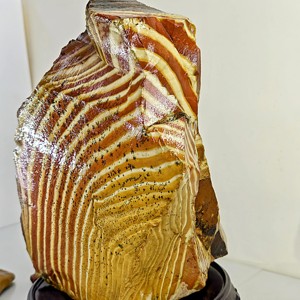 Madera petrificada coloreada - Product Image 2