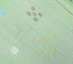 Tapis en jute sabra amazigh vert pistache marocain fait à la main symboles berbères décor à la maison avec tapis et ensembles en soie végétale - Product Image 5