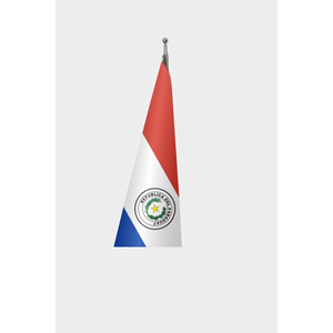 Custom Interior <b>Flag</b> <b>for</b> Paraguay Official Silk Polyester Drapeau Digital Printing Aluminum <b>Pole</b> Custom Automotive Insurance - Product Image 3