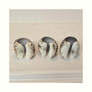 Turbo Seashell Napkin <b>Ring</b> Applied in Dining Table Decoration Events and Hospitality - Product Image 6