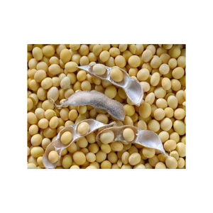 Soja Amarilla Seca Grado 1 y 2, Suministro a Granel de Alta Calidad con 24 Meses de Vida Útil para Cocinar y Procesar - Product Image 6