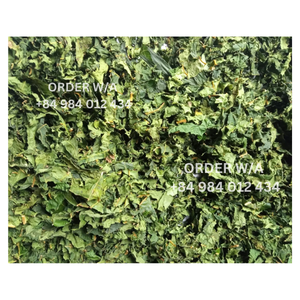 2024 HOJAS DE PAPAYA SECAS PRECIO MÁS BARATO HOJAS DE PAWPAW ORGÁNICA SUMINISTRADAS DE VIETNAM - Product Image 4