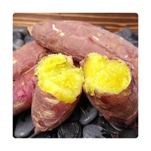 La batata con carne amarilla es un tipo de patata con Piel púrpura-roja, carne naranja-amarilla, sabor dulce y fragante. - Product Image 3