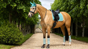 High quality English <b>saddle</b> pad wholesale soft inner fleece lining durable outer material breathable lightweight equestrian - Product Image 3
