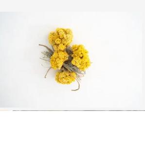 Prix de l'huile essentielle pure d'Helichrysum de qualité supérieure d'Inde - Product Image 5