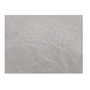 Polvere di Psillio Premium a Basso Contenuto di Umidità 8% Polvere Fine Naturale Bianca Fibra Alimentare di Alta Qualità - Product Image 1