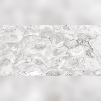Ethereal Gloss Glasierte Porzellanfliesen 600x1200mm Moderne Rutschfeste Außenbereich-Fliesen Nahtlose Mischung für Supermärkte