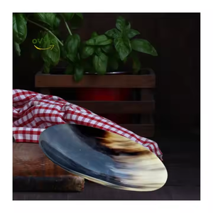 ชามเสิร์ฟฮอร์นมีสไตล์วินเทจเรีไซน์แข็งชามตกแต่งทรงลึกพร้อมราคาถูกมากสำหรับเครื่องครัว - Product Image 6