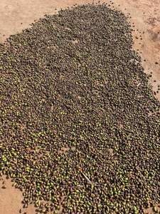 ผลไม้แห้งทั้งหมดของผลิตภัณฑ์ทางการเกษตรแบบพรีเมี่ยมสีดำ - Product Image 3