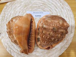 ขนาดใหญ่สีแดงหมวกกันน็อคเปลือกหอย-ตกแต่งร้อนขายสินค้า - Product Image 2