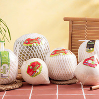 Coco joven fresco, coco desgranado, agua de coco, suministro a granel, exportador OEM de Vietnam