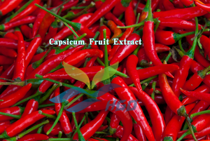 โรงงาน HGO จัดจำหน่ายสารสกัดจากผลพริกธรรมชาติโดยตรง คุณภาพเกรดอาหาร แคปไซซิน 1%-20% สารสกัดมาตรฐาน - Product Image 2