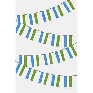 Sierra Leone Rectangular Party <b>Banners</b> Guirlande Elegant Fanions for Festive Decorations - Product Image 1