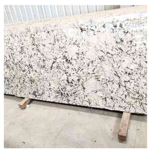 Granite blanc d'Alaska élégant, pierre de qualité supérieure pour une utilisation architecturale et décorative moderne à bon prix - Product Image 6