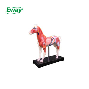 चिकित्सा विज्ञान के लिए पशु घोड़ा एक्यूपंक्चर मॉडल - Product Image 1