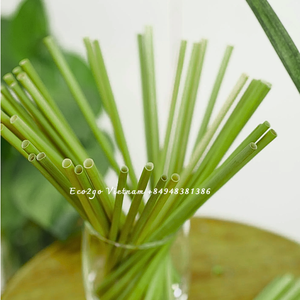 Pailles à boire en herbe naturelle biodégradables écologiques Votre style de vie vert-boissons en plastique papier réutilisables plus saines et plus sûres - Product Image 6