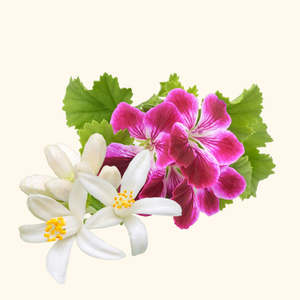 Mezcla de Aceites Esenciales Puros con Relieve Floral, Prensados en Frío, Lavanda, Sándalo y Vainilla para Nutrir e Hidratar el Cuerpo - Product Image 2